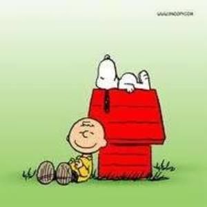 Meet your Posher, Dawn